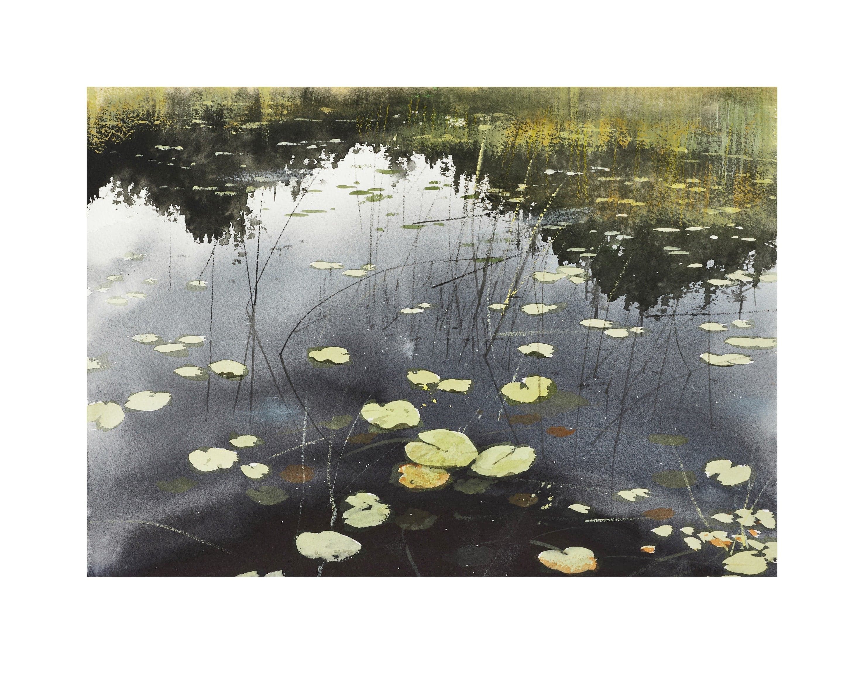 Konstverk, fine art print av Peter Eugén - Näckrosor