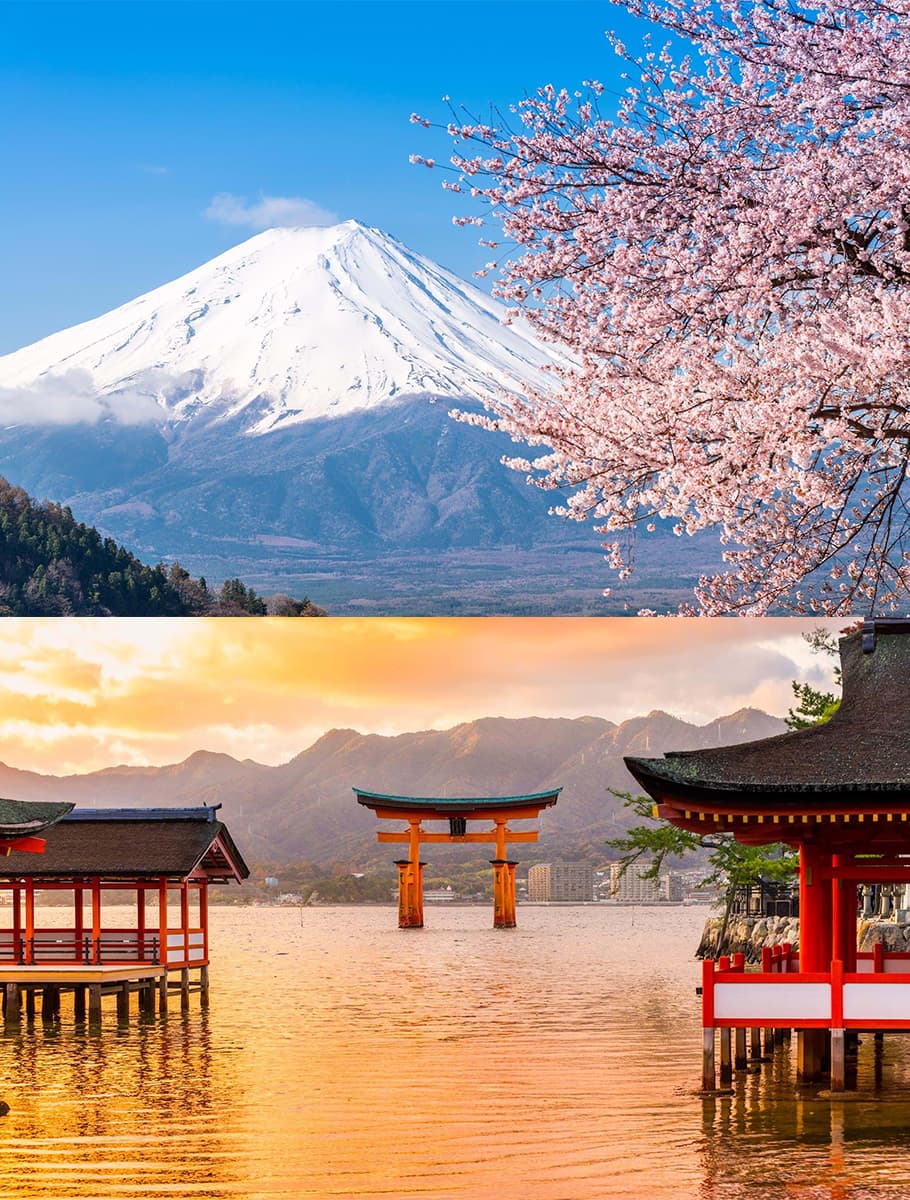 Vår i Japan - bild 1