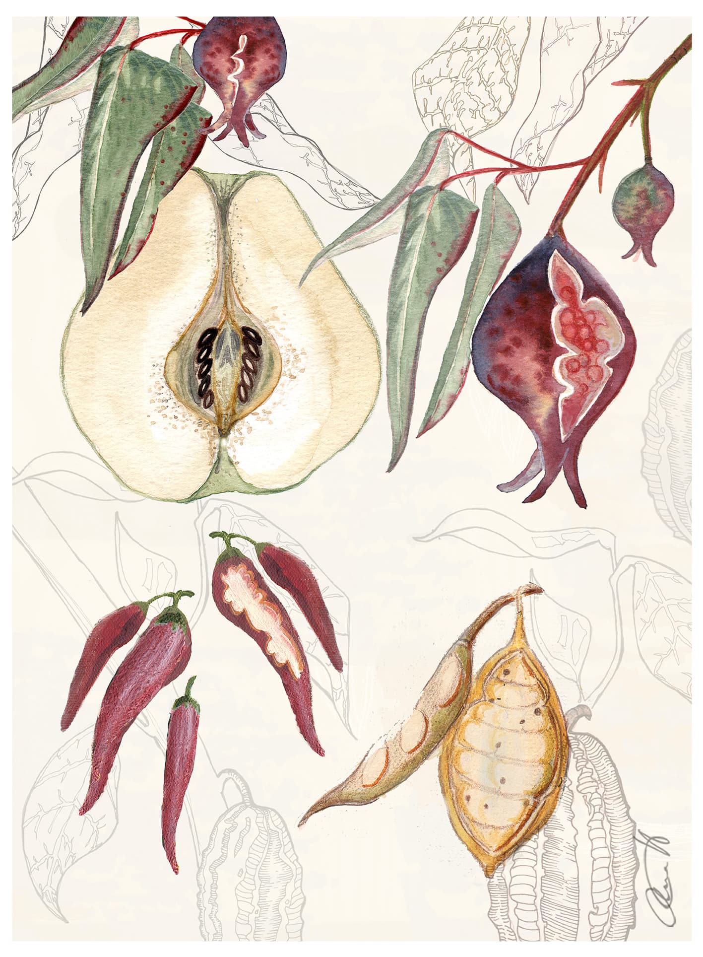 "Fruktkropp" - Konsttryck - bild 1