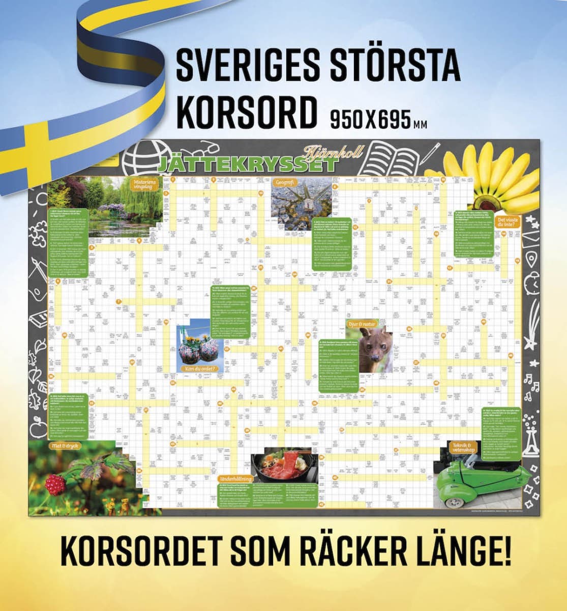 Jättekrysset – Hjärnkoll