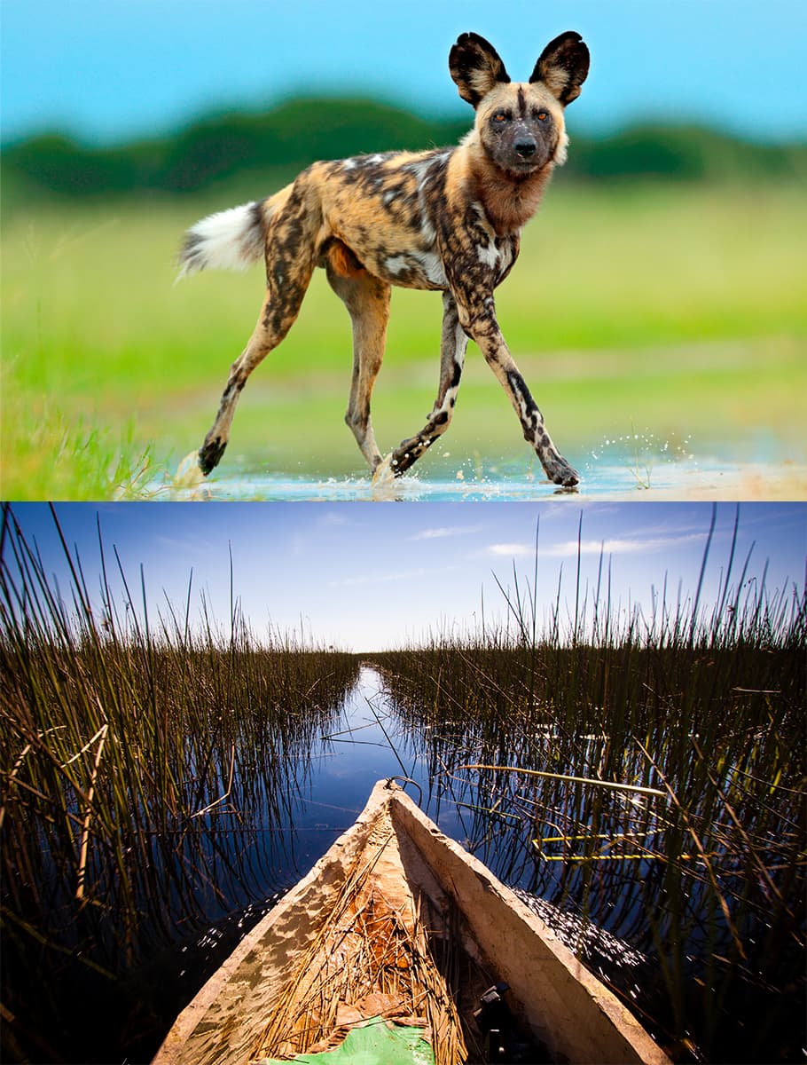 Tältsafari i Botswana med Victoriafallen - bild 2