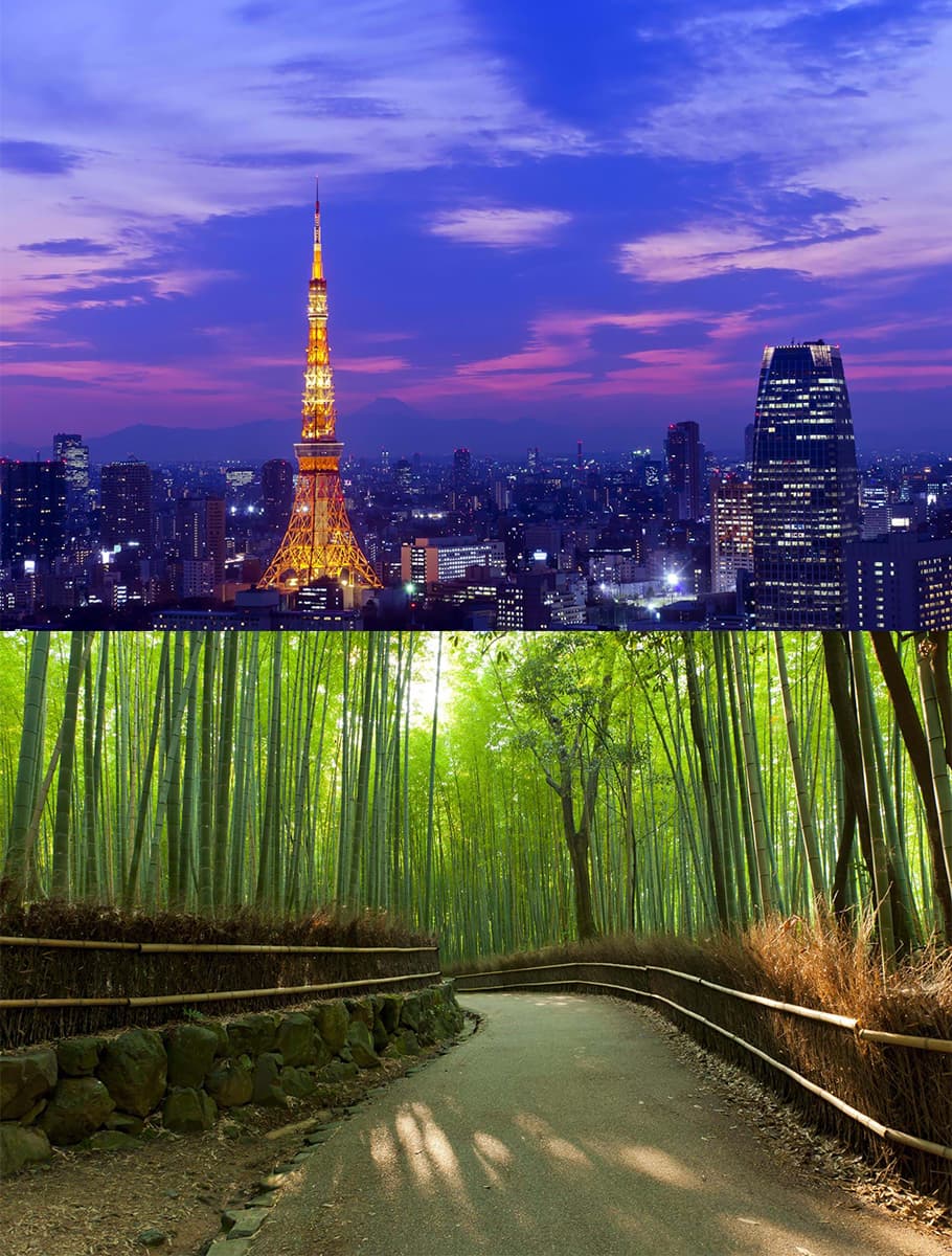Vår i Japan - bild 2