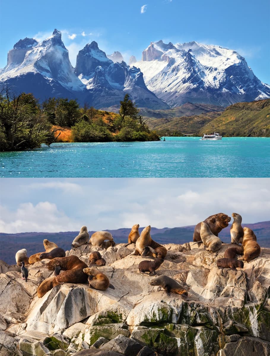 Patagonien & Eldslandet - bild 3