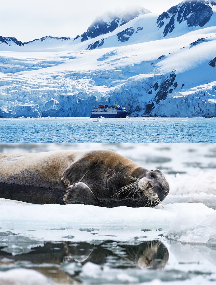 Upplev Arktis pärla Svalbard med DN.Erbjudanden - bild 2