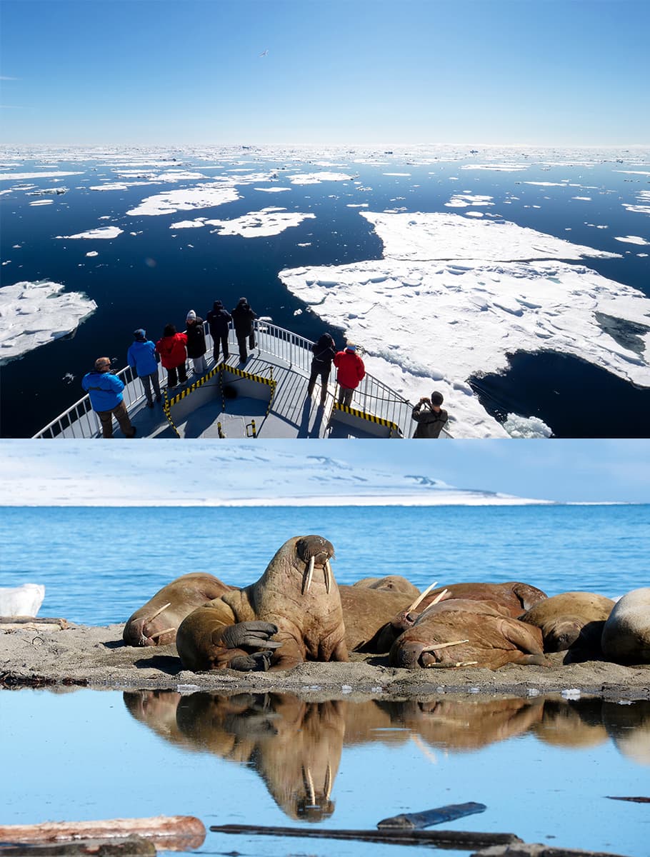 Upplev Arktis pärla Svalbard med DN.Erbjudanden - bild 3