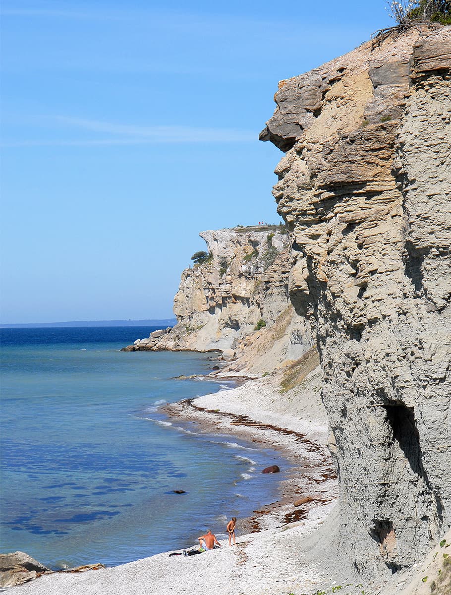 Naturresa till Gotland & Stora Karlsö - bild 3