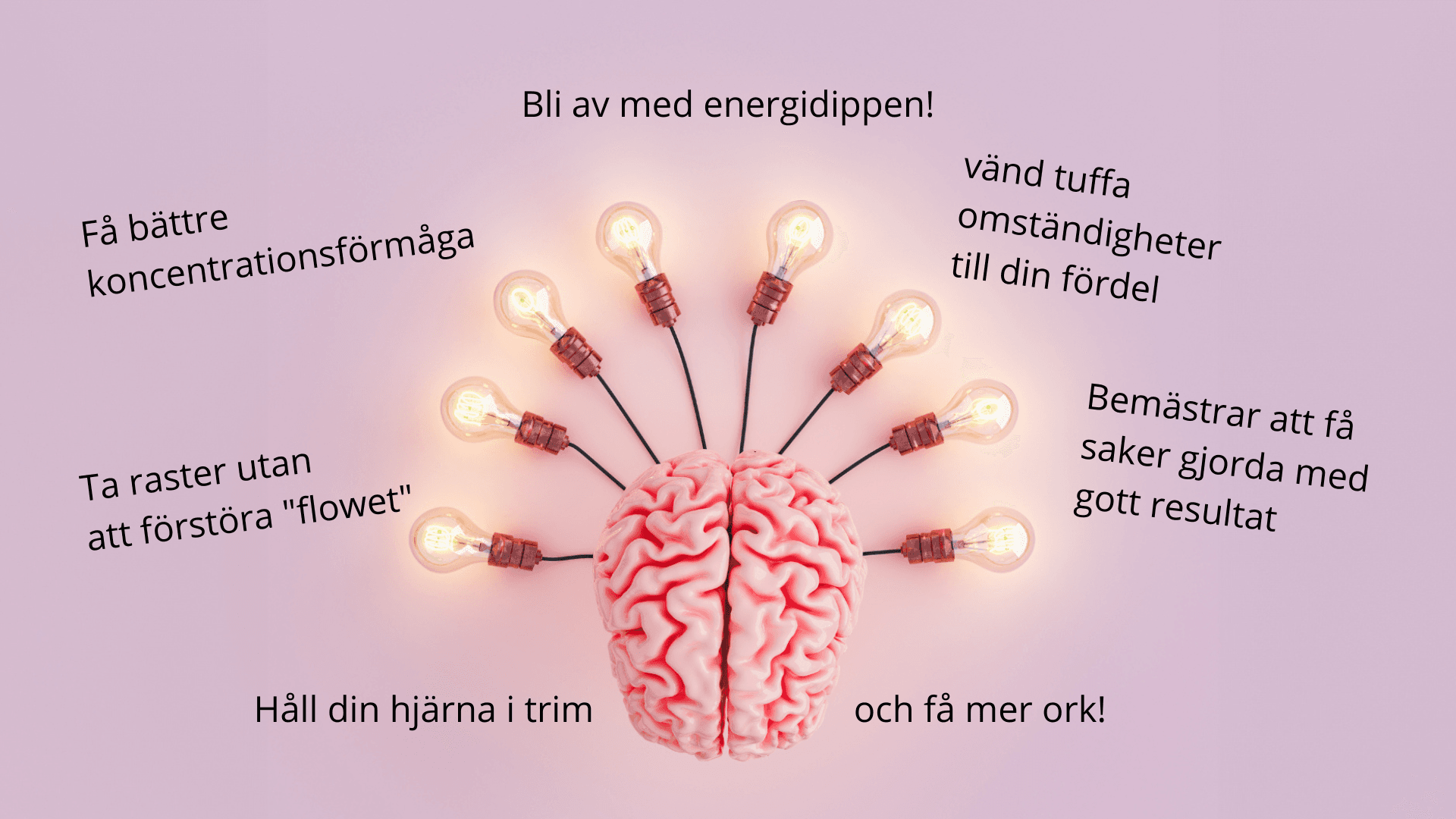 Håll din hjärna i trim och få mer ork! - bild 3