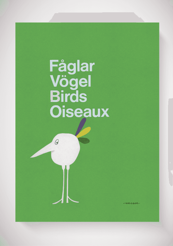 Fåglar, Vögel, Birds, Oiseaux - the bird collection - bild 2