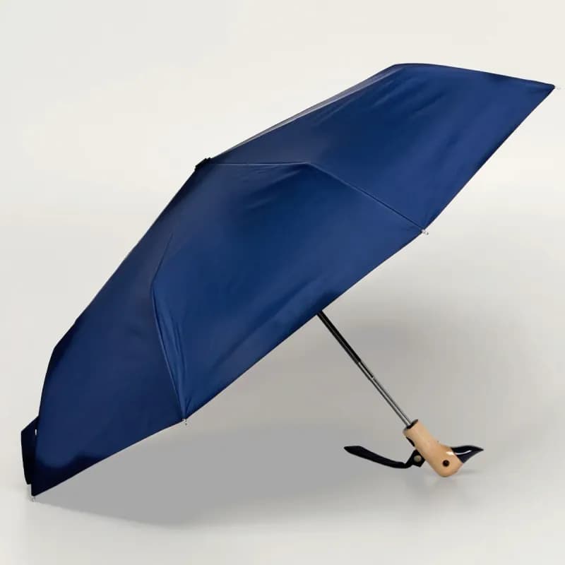 Regn och rusk! Skydda dig med ett snyggt paraply
