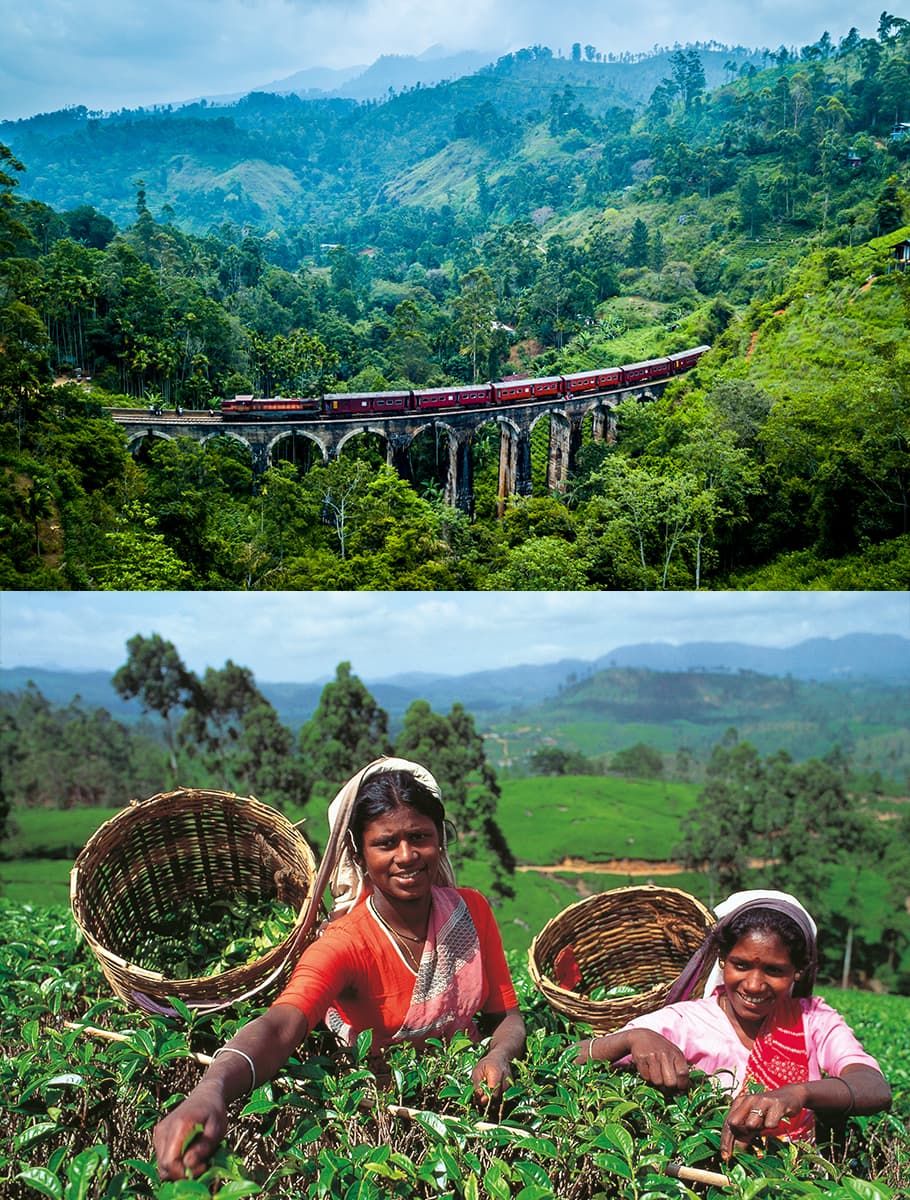 Sri Lanka runt med tåg 24 feb–12 mars 2027 - bild 1