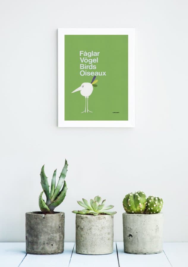 Fåglar, Vögel, Birds, Oiseaux - the bird collection - bild 1