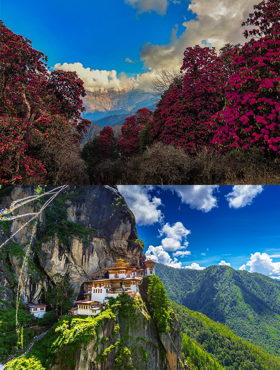 Strövtåg i Nepal och Bhutan - bild 1